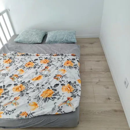 公寓 Ceglana Kamienica Nad Wisla 克拉科夫